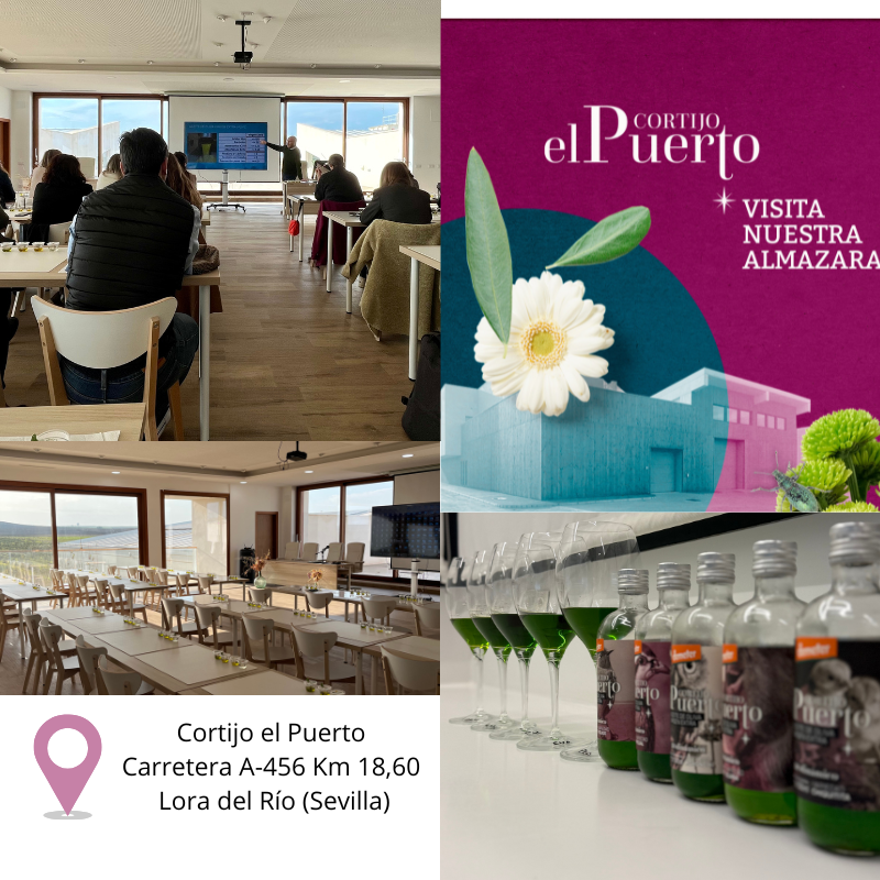 Experiencia Oleoturismo · Cortijo el Puerto (Canjeable 2026)