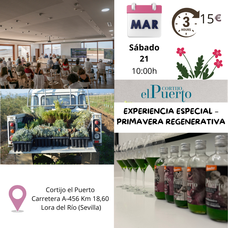 experiencia regenerativa